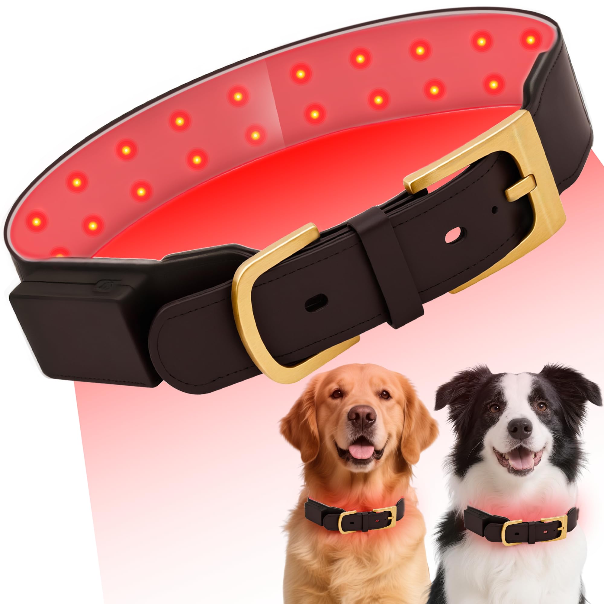 Collier de thérapie à la lumière rouge pour chien - Soin articulations et arthrose canine