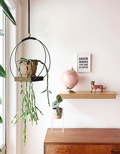 Miniatura 6 de Dravmola Maceta colgante  Soporte colgante para plantas de interior para decoración de pared de ventana (marrón, 1 unidad)
