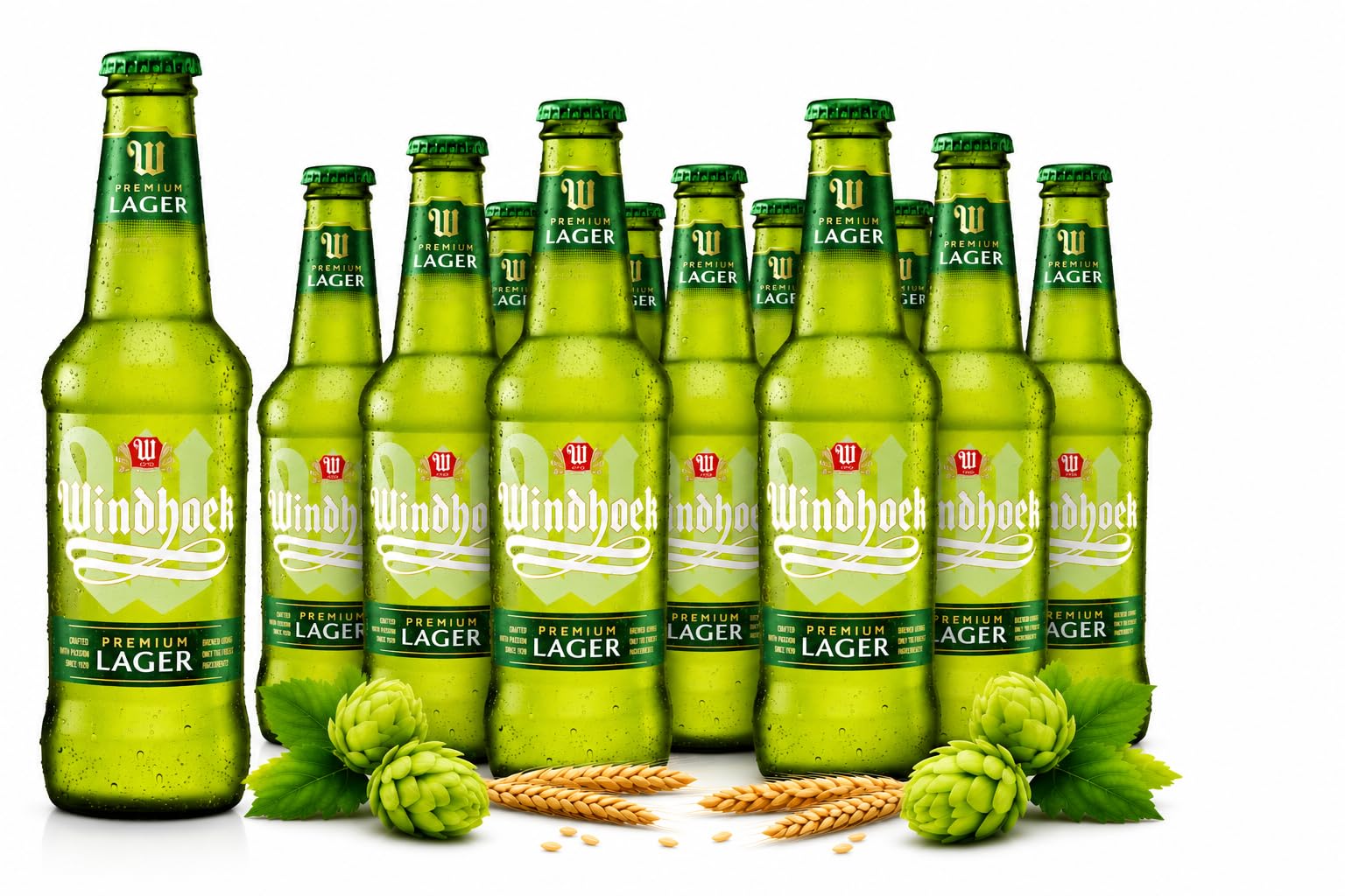 Windhoek Lager Bier 12 Flaschen x 330 ml | Original Namibia | 4,0% Vol. Import