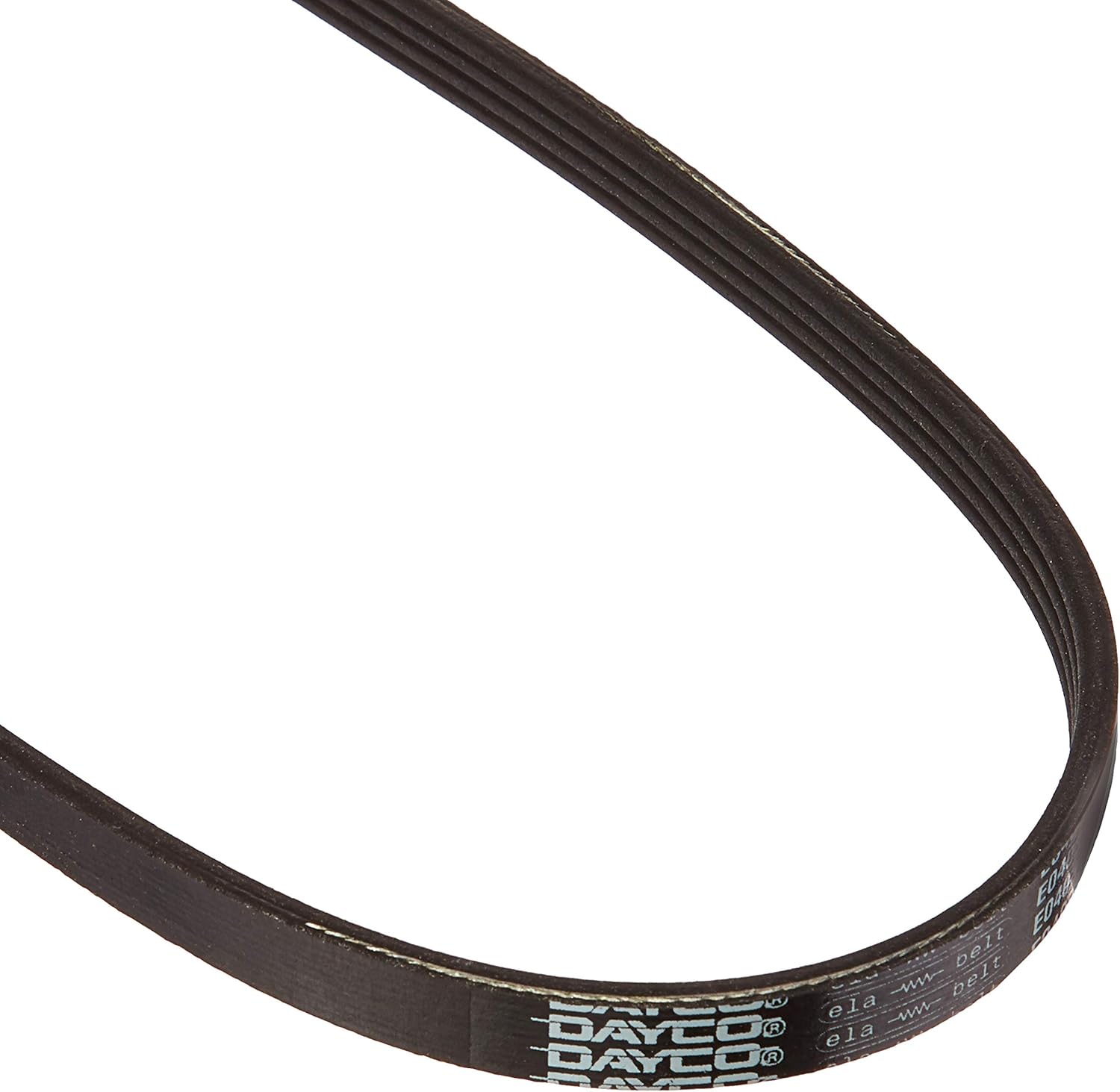 Dayco V-Ribbed Belt