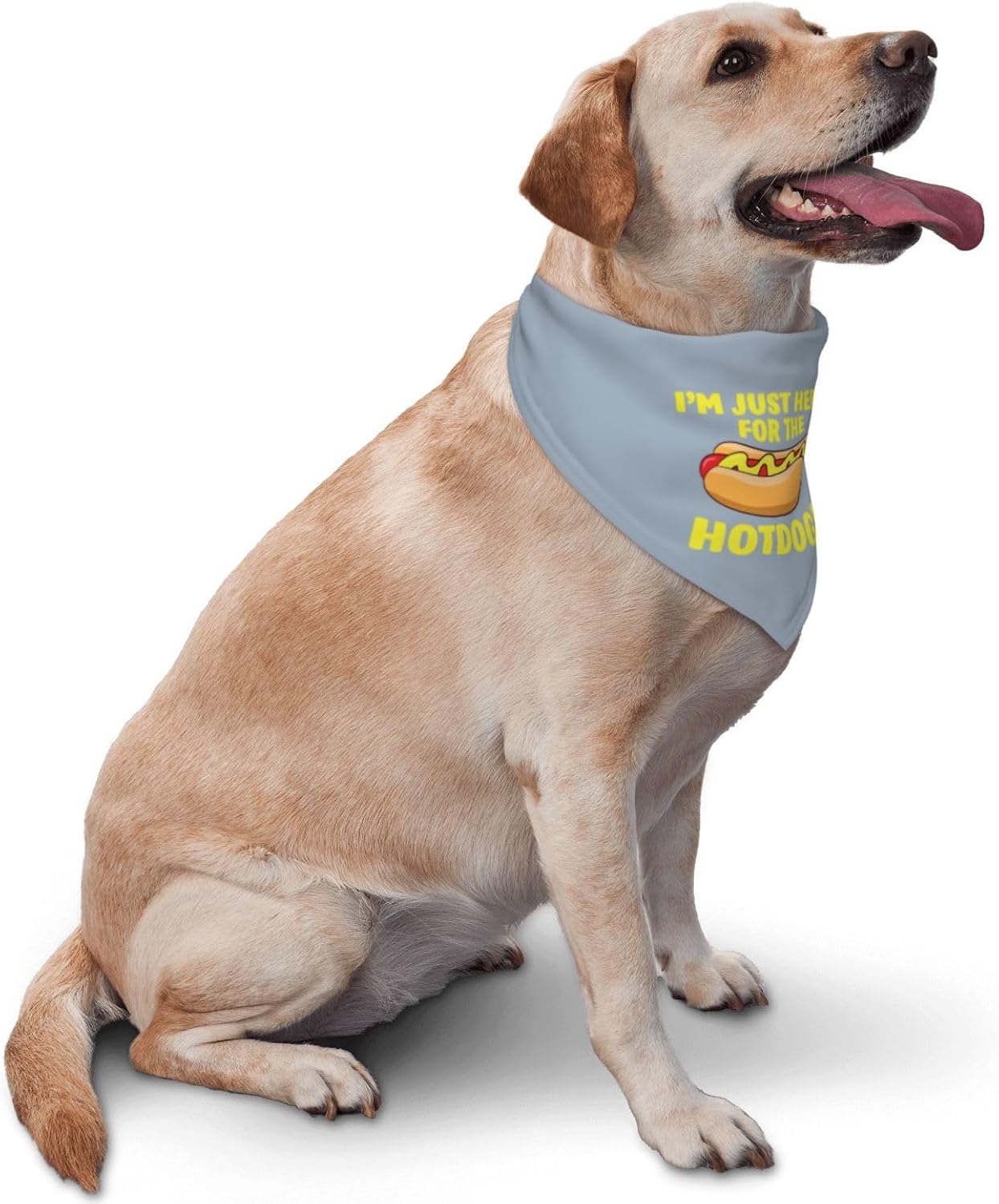 I'm Just Here for The Hot Dogs,Reversible Triangle Bibs Pet Scarf, Holiday Party Photography Props (Gray Blue) image 2