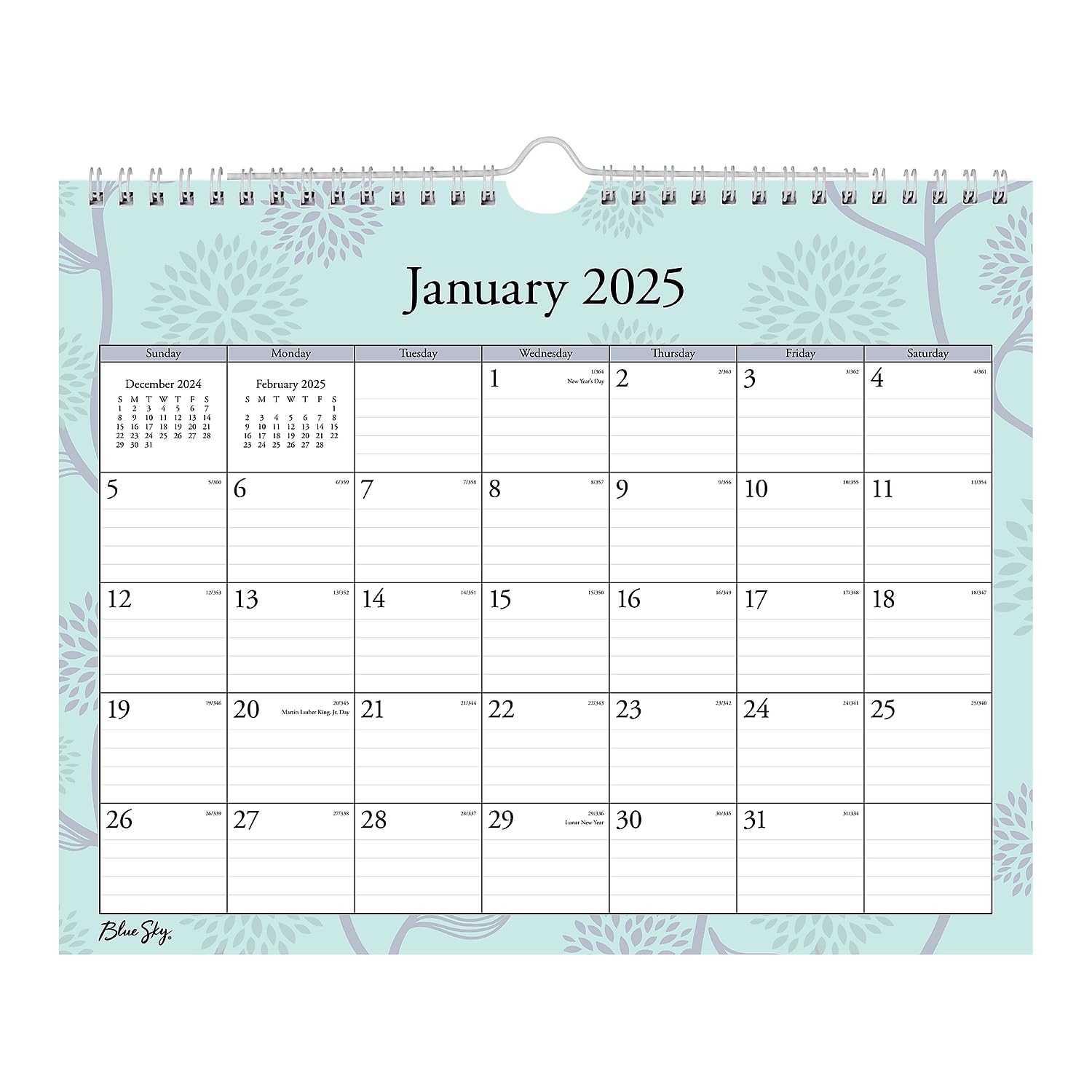 2025 Blue Sky Monthly Wall Calendar, 11" x 83/4", Rue Du