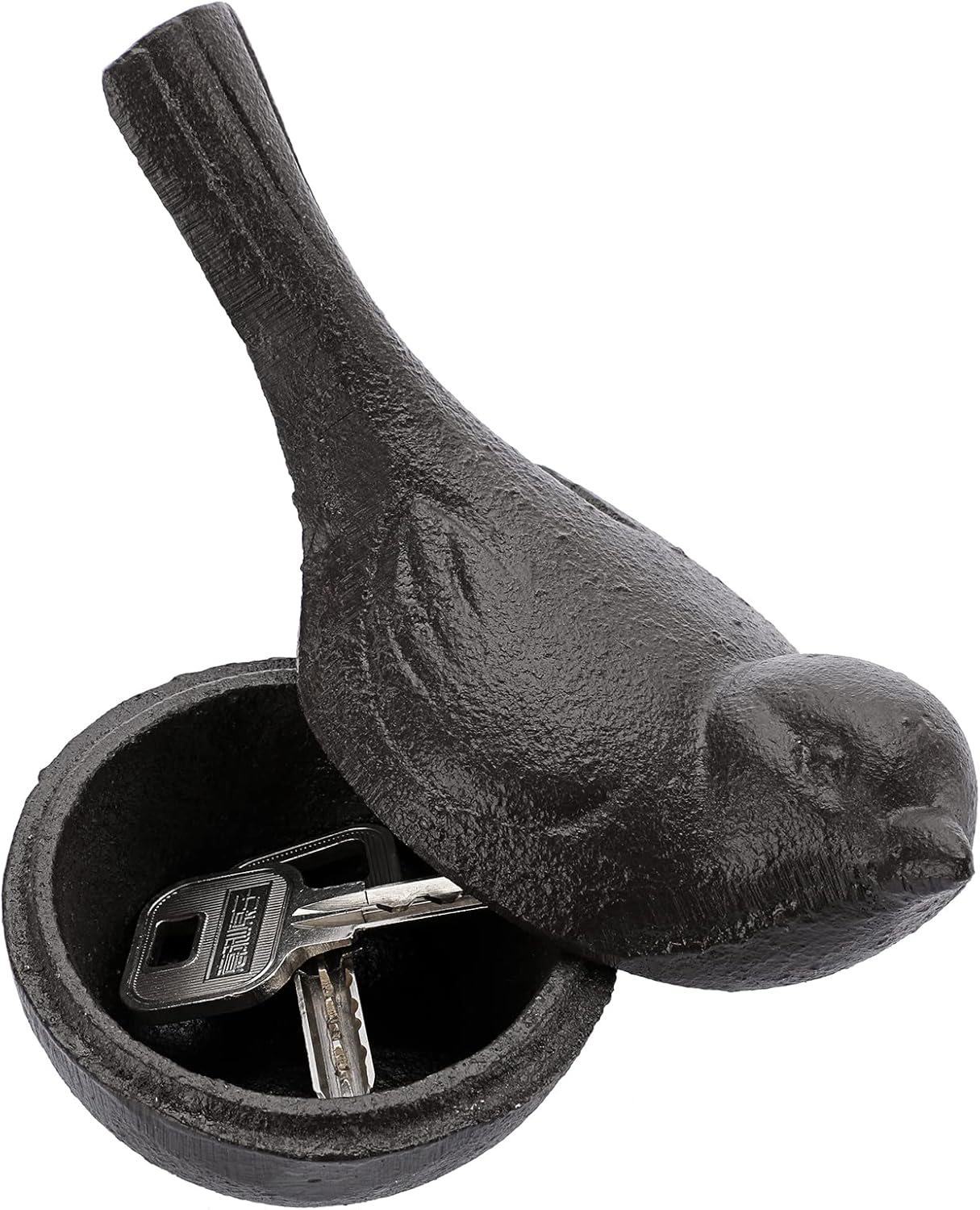 https://m.media-amazon.com/images/I/71oFPkRa5CL._AC_SL1500_.jpg