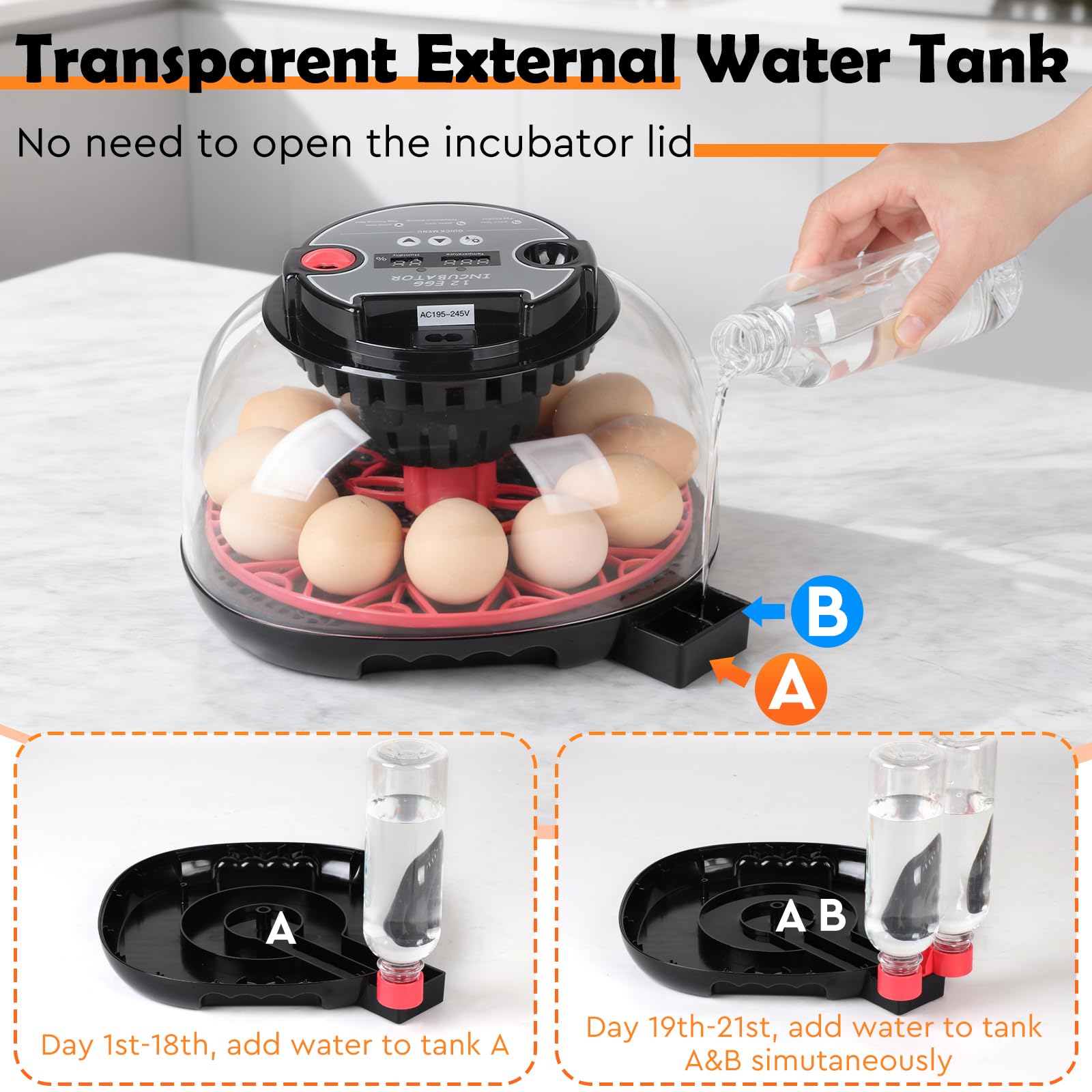 EFUTURETIME Incubadora Automática para Huevos de Gallina, Incubadora con Temperatura y Humedad Ajustables para 12 Huevos, con Volteo Automático, Luz de Inspección
