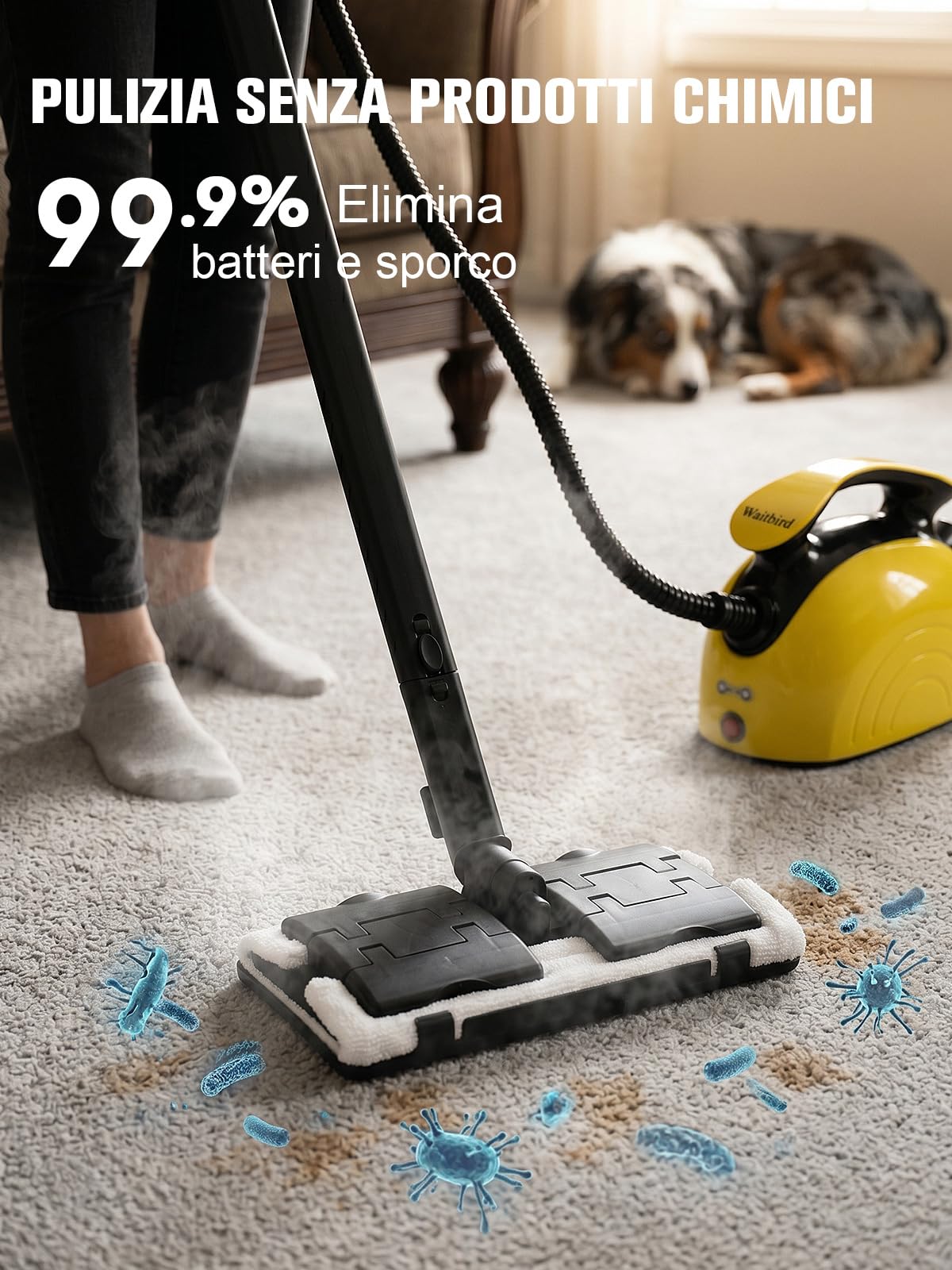 Waitbird Pulitore A Vapore Portatile, 4,5 Bar, Vapore Caldo 120 °C, 1500W | 21 Accessori | Senza Prodotti Chimici Per Pavimenti, Auto, Pareti, Fughe, Cucina E Bagno | Doppia Serratura Di Sicurezza