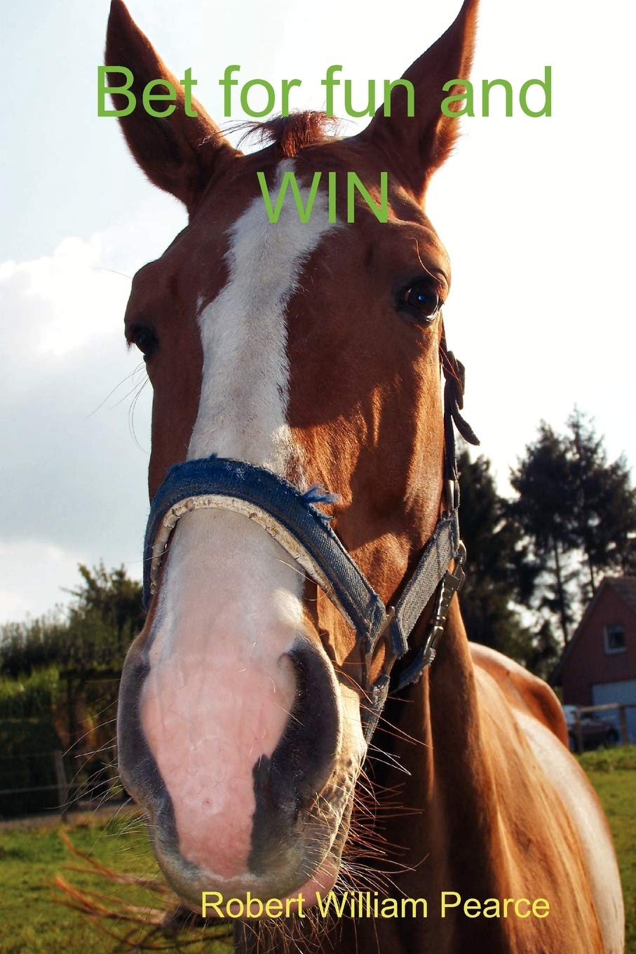 Bet for Fun and WIN