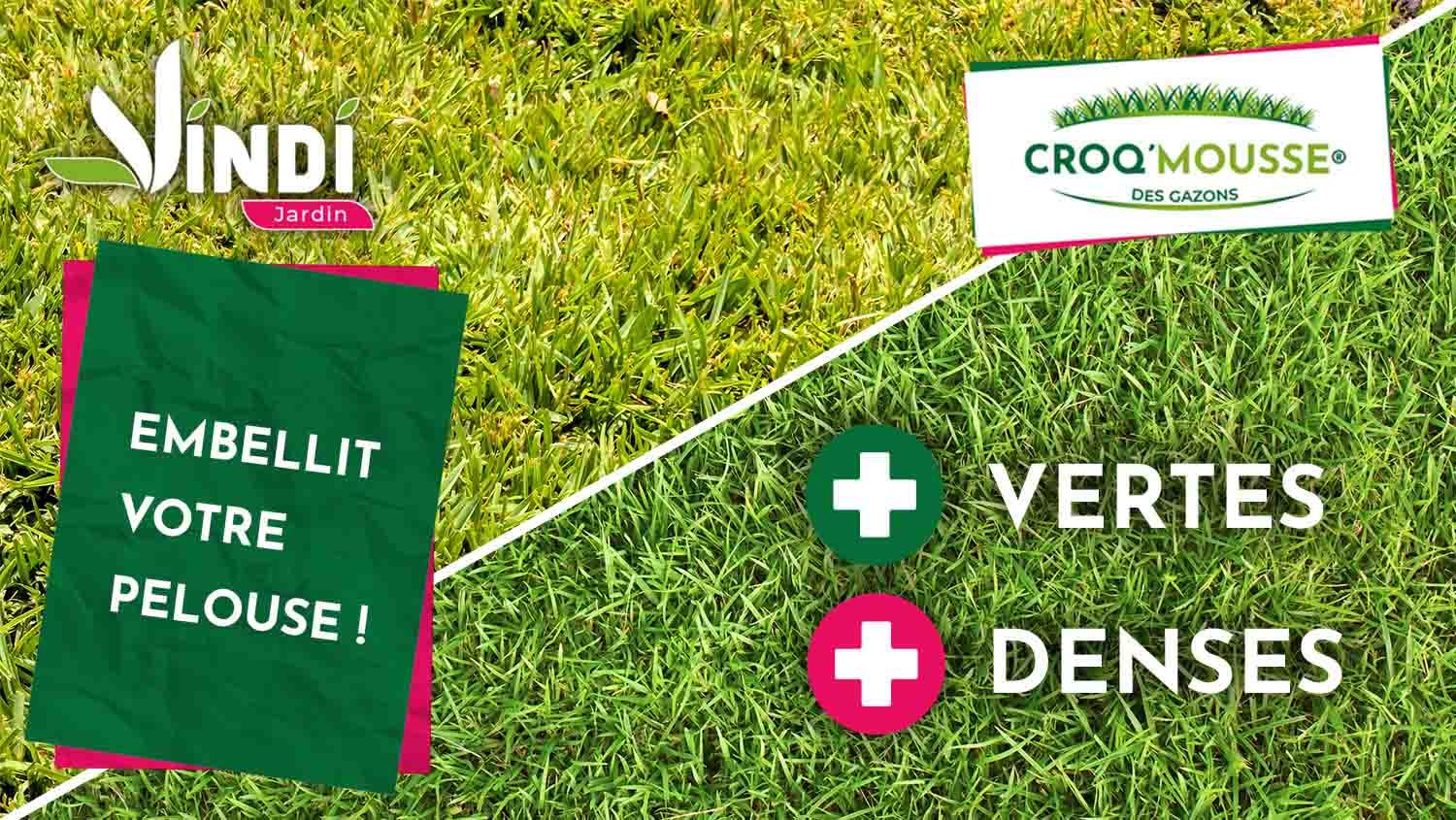 VINDI JARDIN - CROQ'MOUSSE des gazons – Engrais liquide organo-minéral 3 en 1 – Pelouse « sans mousse/+verte/+dense » - bidon 2L – Traitement pour 200m2 – Fabrication Française.