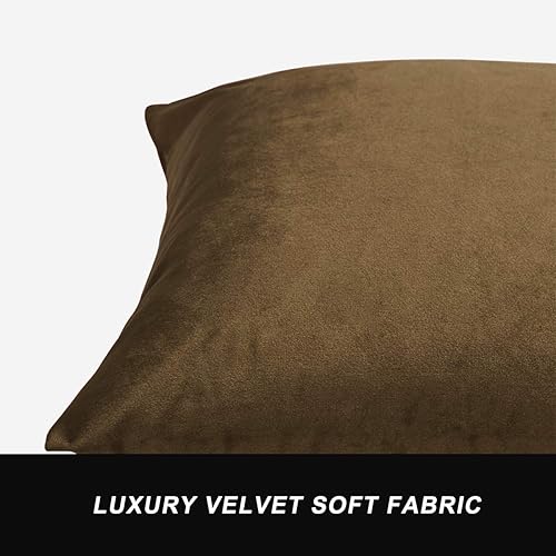 Vista 128 de GIGIZAZA - Juego de 2 fundas de almohada decorativas de 18 x 18 pulgadas, fundas de almohada cuadradas de terciopelo verde azulado pavo real