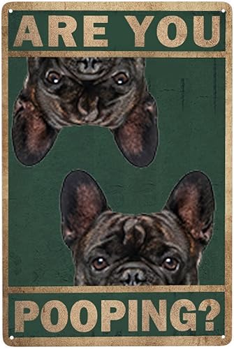 Letrero de metal vintage de Bulldog francés, decoración de pared, carteles retro con texto en inglés "Are You Pooping", carteles de metal de