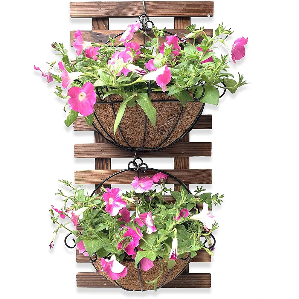 N / B Makeup Toy Metal Wall Hanging Planter Flower Basket Iron Flower Pot Coconut Palm Hanging Flower Planters Wall Baskets Wrought Iron Wall Coconut Palm Flower Vase (Style-14 (39x36x22cm))