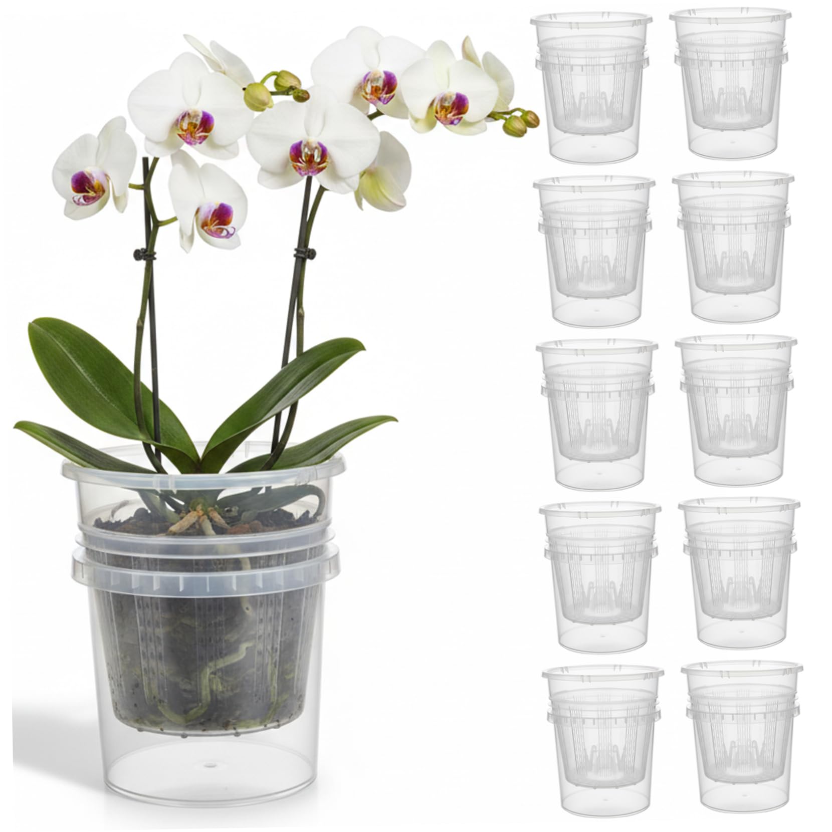 AwnsIMfreien Clear Orchid Pots with Holes, 10 Packs Self-Watering Planter with Transparent Design for Phalaenopsis, Simple Care for Beginners, 4.3 inch, Clear Orchid Pots with Holes