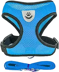 Coleira Peitoral Anti Puxão com Guia para Cães e Gatos – Ideal para Filhotes, Pinscher, Shi Tzu e Raças de Porte Pequeno a Médio – NEXUS MARKET (GG, AZUL)