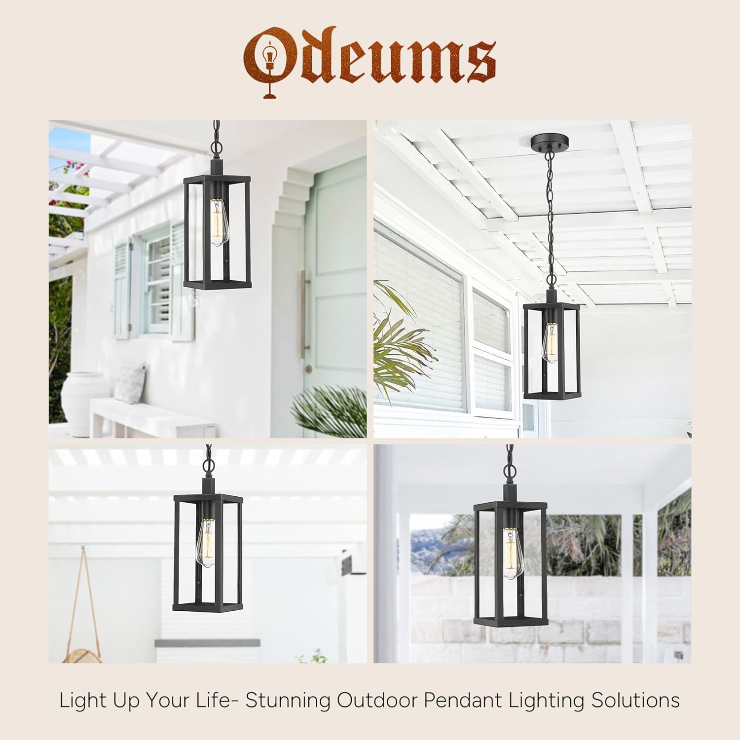 Outdoor Pendant Lantern, Exterior Hanging Light Fixture for Porch, Hallway in Black Finish With Clear Glass