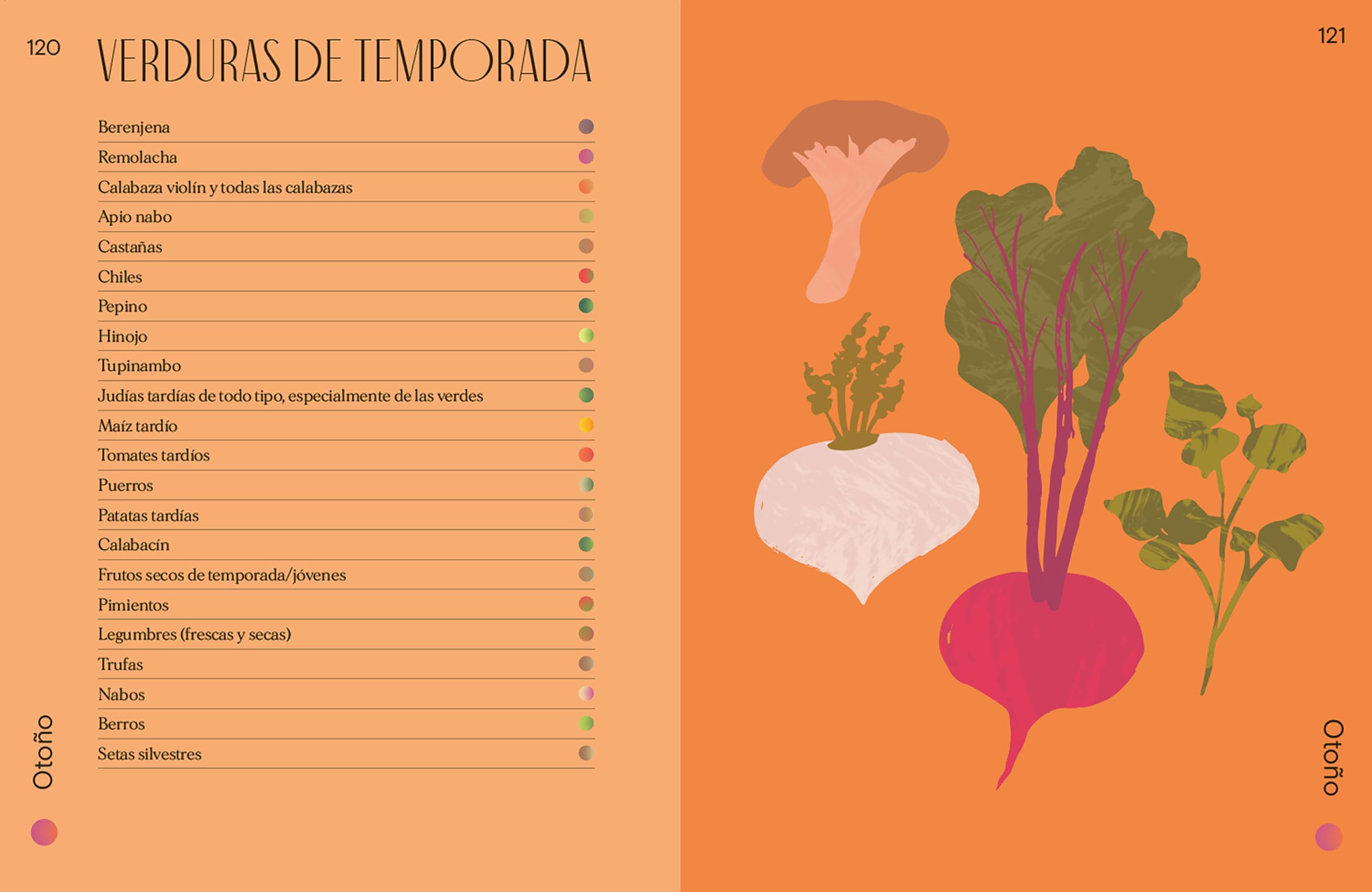 El magnífico libro de las verduras: Come un arcoíris a diario con más de 80 recetas vegetarianas (COCINA VEGANA Y VEGETARIANA)