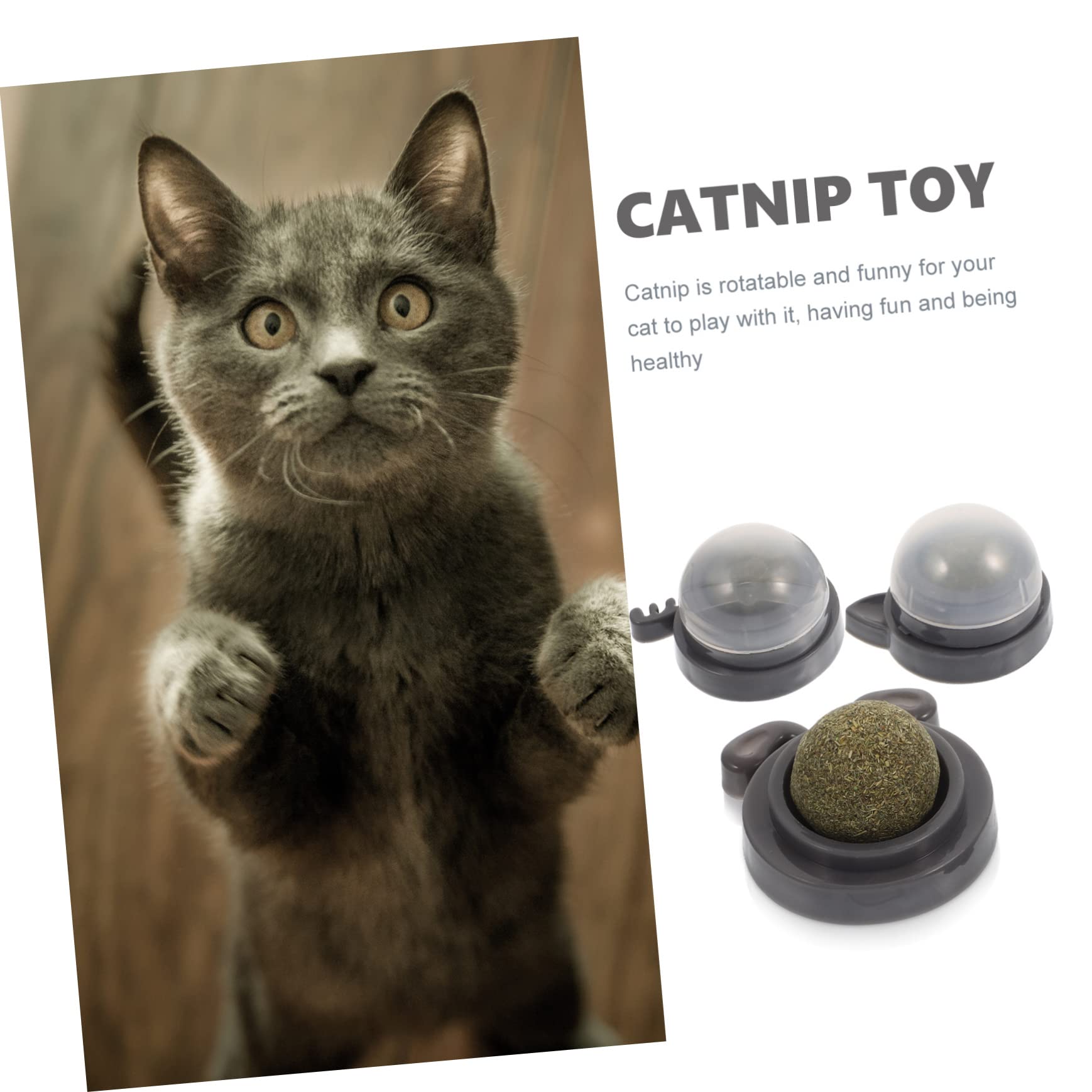 Supvox 12stücke Katzenminze Lick Ball Multifunktionales Spielzeug Zur Zahnpflege Für Katzen Rotierender Interaktiver Kauspielzeug Für Drinnen Gesundheit Und Spielspaß