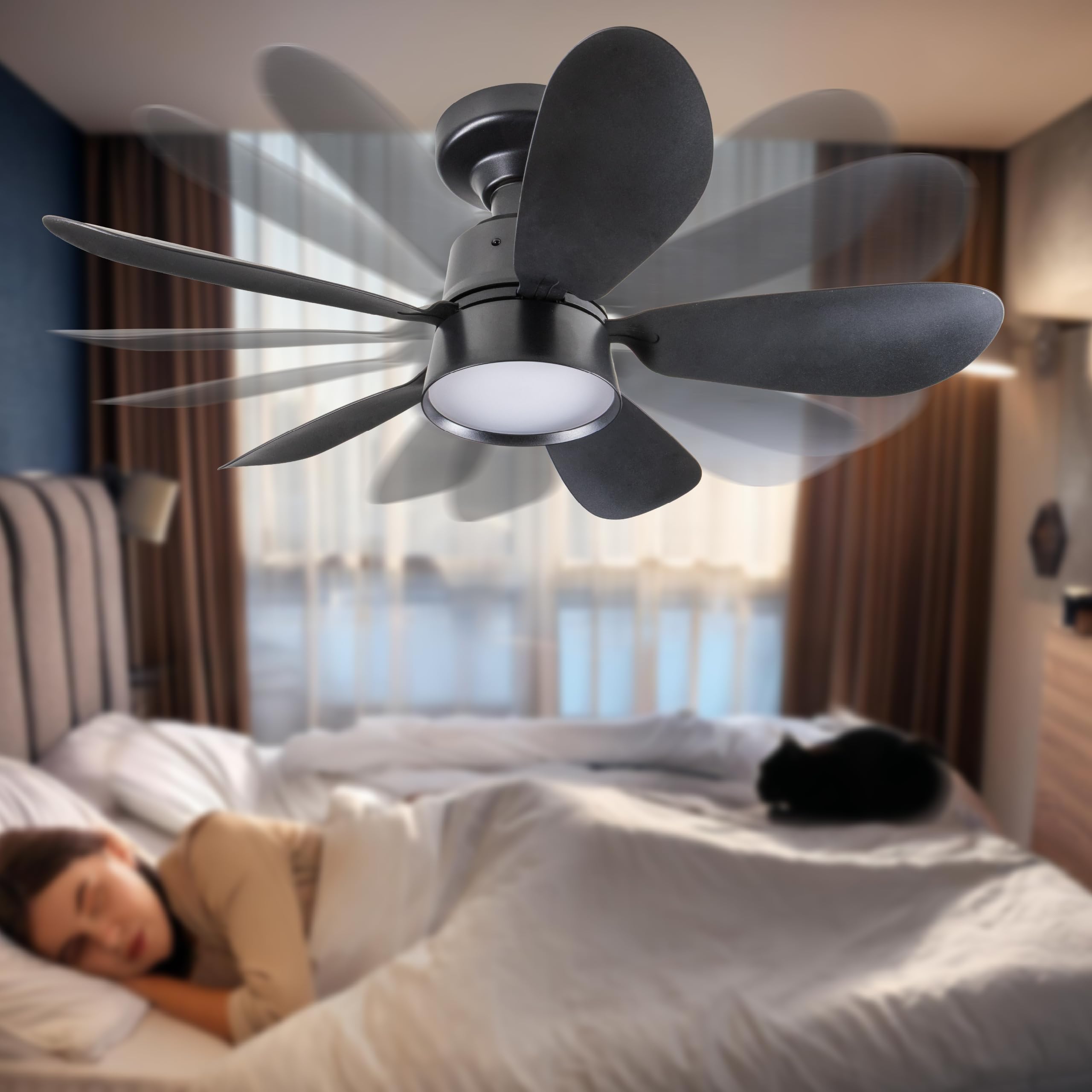 Proventa LED-Deckenleuchte mit Ventilator Ø530mm 25W 1100lm CCT 3000–6500K dimmbar IP20 flimmerfrei mit Fernbedienung modern flach leise ideal für Wohnräume Schlafzimmer Küche Wohnzimmer