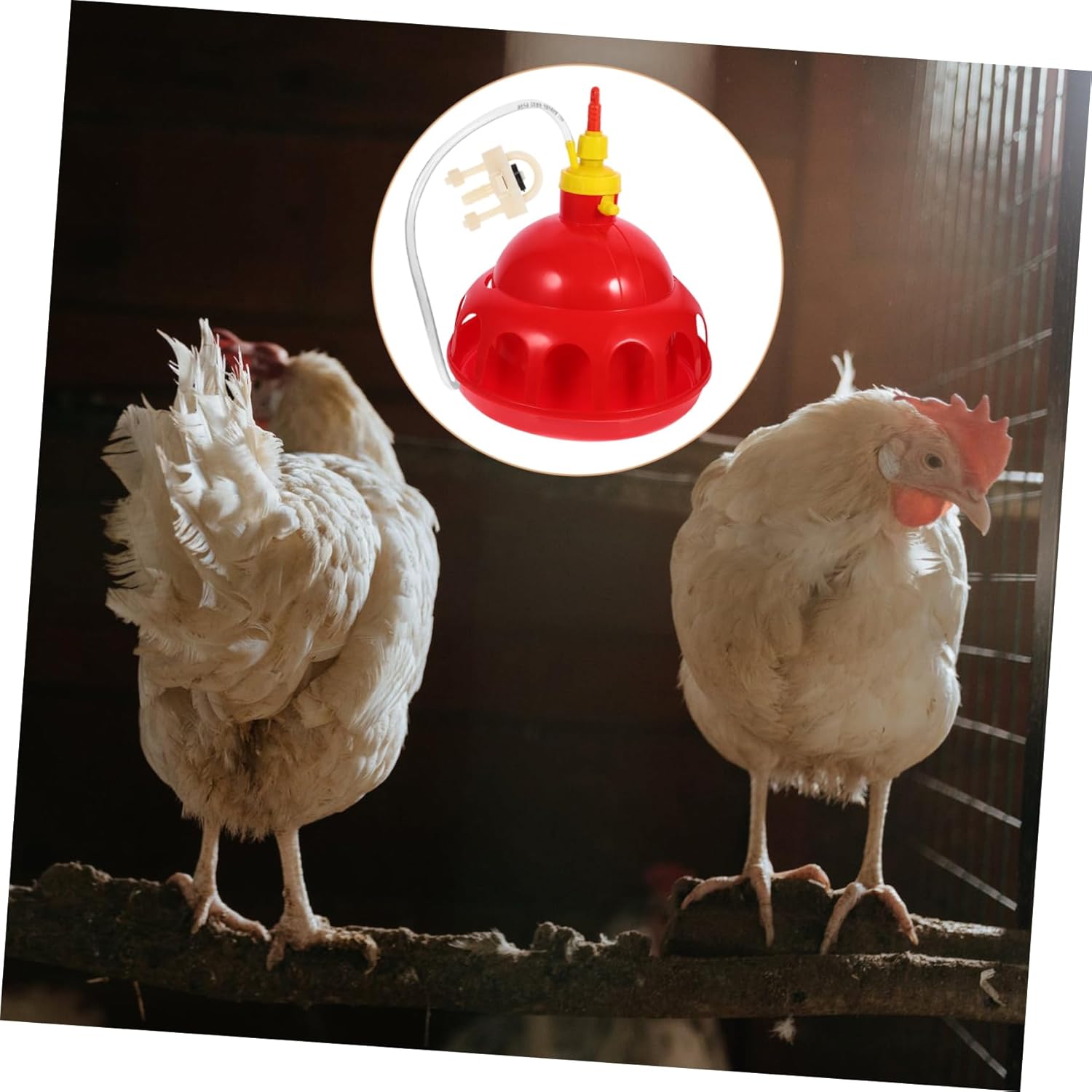 VANZACK 1Pc Thickened Automatic Poultry Waterer Drinker for Chickens Pigeons Quail Water Feeding Dispenser for Home Farm Use Red