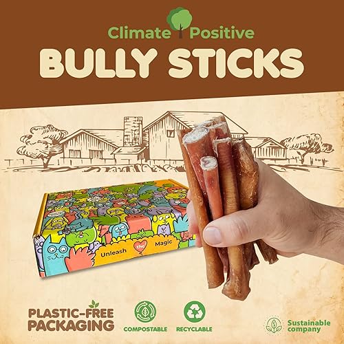 Miniatura 2 de Makondo Pets Bully Sticks - Golosinas masticables 100 % naturales para perros, 6 pulgadas, calidad premium, saludables, para entrenamiento,