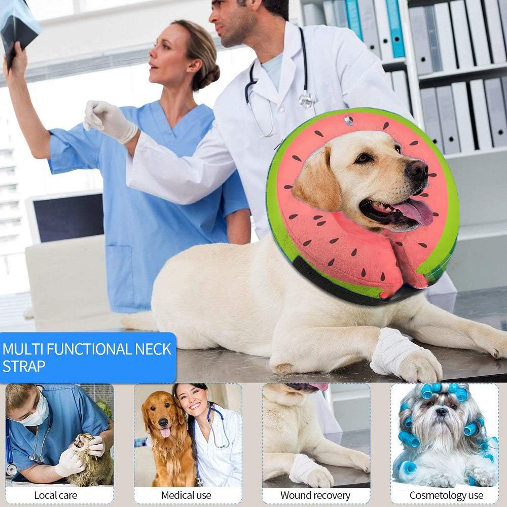 Collare Elisabettiano Ducomi Molly Per Gatti E Cani - Morbido, Regolabile, Per Recupero Post-Operatorio