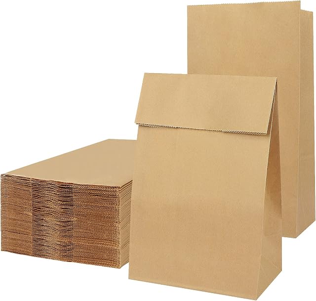 100 Pieces Brown Paper Bags, Paper Sandwich Bags, Gift Bags, Small Paper Bags, Paper bags Birthday, Paper Bags for Sweets, Recycled Kraft Paper Bag for Food (5.1 x 2.8 x 8.7 inch)