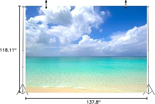 Miniatura 5 de Loccor Telón de fondo de playa de tela de 12 x 10 pies, palmera, laguna azul, tropical, isla de Maldivas, fondo de fotografía, tapiz de fondo de