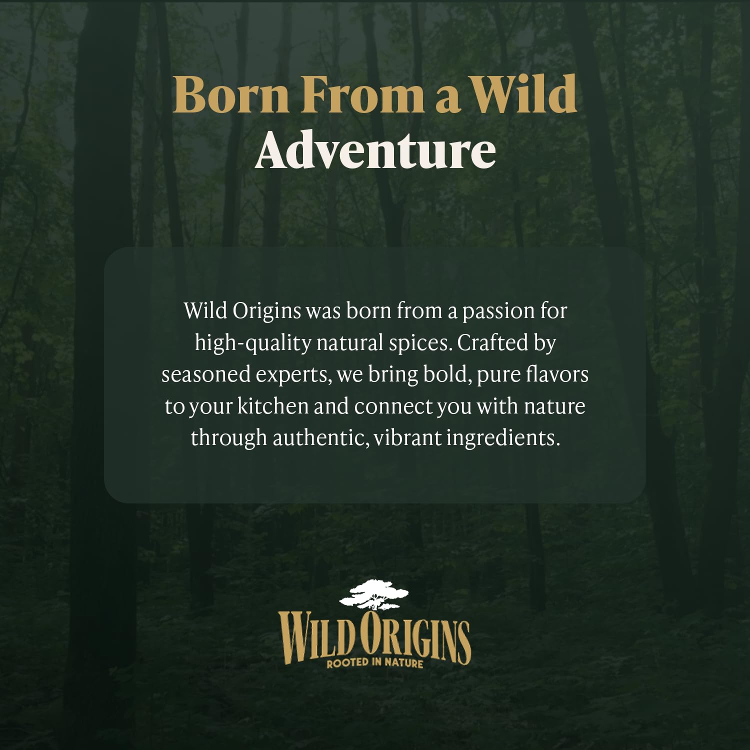 Wild Origins All Purpose Seasoning Gift Box - Pack of 4 | Non GMO | Spice Blends | Authentic Ingredients | Kitchen Essentials | Perfect Spice Set for Cooks, Grill Masters & Foodies | 19 Oz