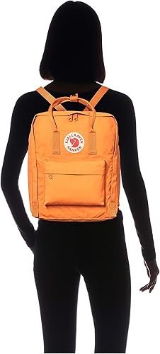 Vista 29 de Fjallraven Mochila Kanken Classic para el diario Azul cielo