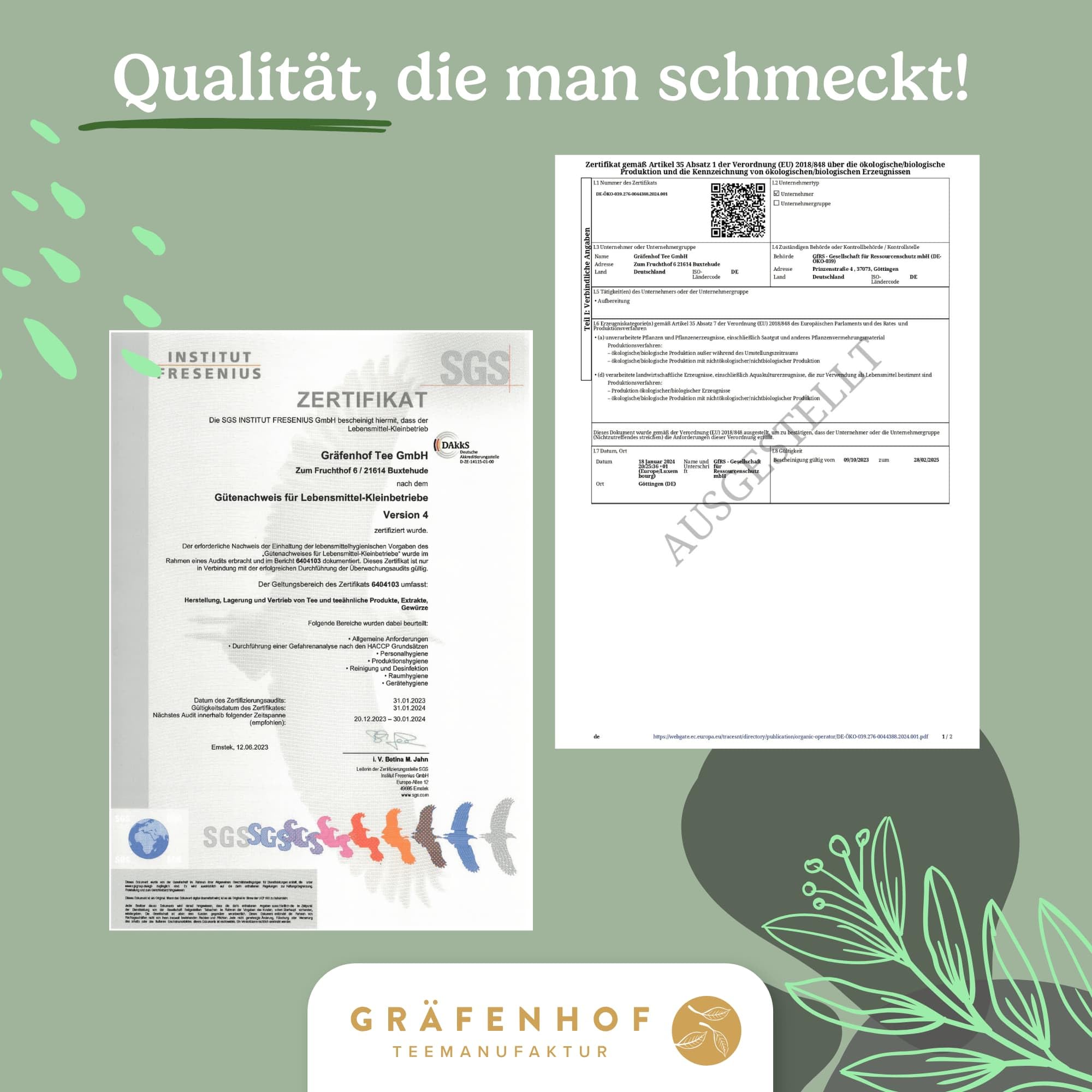 Gräfenhof China Jasmin Dragon Pearls Grüner Tee Bio, 300g (3x 100g) loser Tee aus 100% Grüner Tee Dragon Pearls, mit natürlichem Koffein, Premium Qualität, in DE abgefüllt