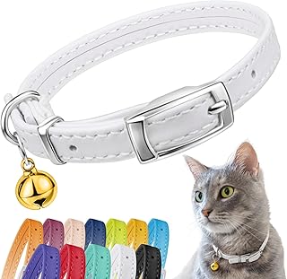 CollarDirect Leder Katzenhalsband mit Sicherheitsverschluss und Glocke 23-28 cm Weiß