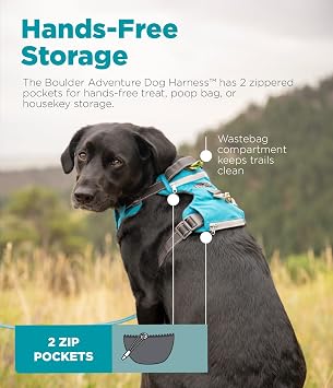 Outward Hound Boulder Adventure Adjustable Dog Harness with Pockets, Turquoise, Medium