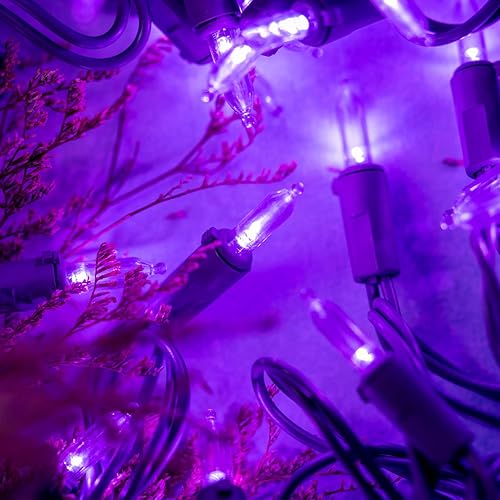 Miniatura 2 de YULETIME Luces LED de Navidad moradas con cable morado, 66 pies, 200 unidades, certificación UL, grado comercial, juego de tira de luces LED