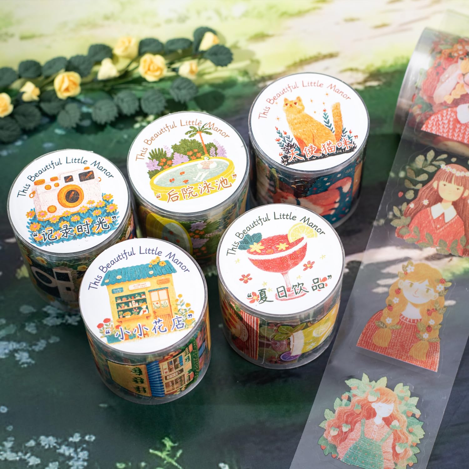 View 5
