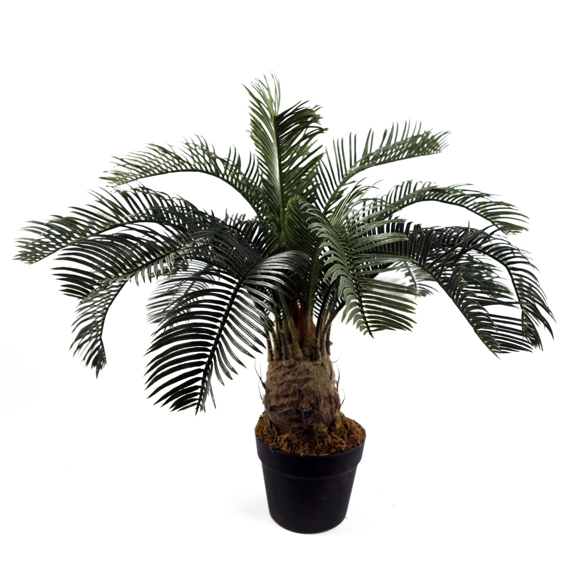 Leaf Large Artificial Palm Tree 60Cm Cycas Plant Uk from B&Q