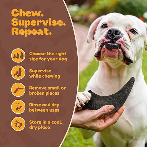 Miniatura 6 de WhiteTail Naturals - Cuernos de búfalo de agua para perros (paquete de 2 grandes) Hueso de perro de cuerno de búfalo totalmente natural - Juguete