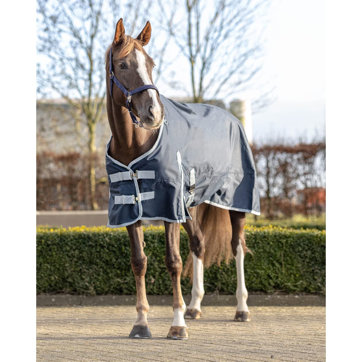 QHP Manta Impermeable y Polar para Caballos Turnout 300g