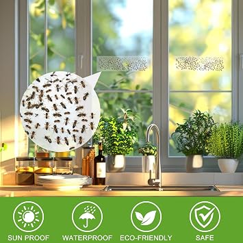60 Pack Window Fly Traps, Window Fly Stickers Indoor, Sticky Fly Traps, Fly Catcher for Home