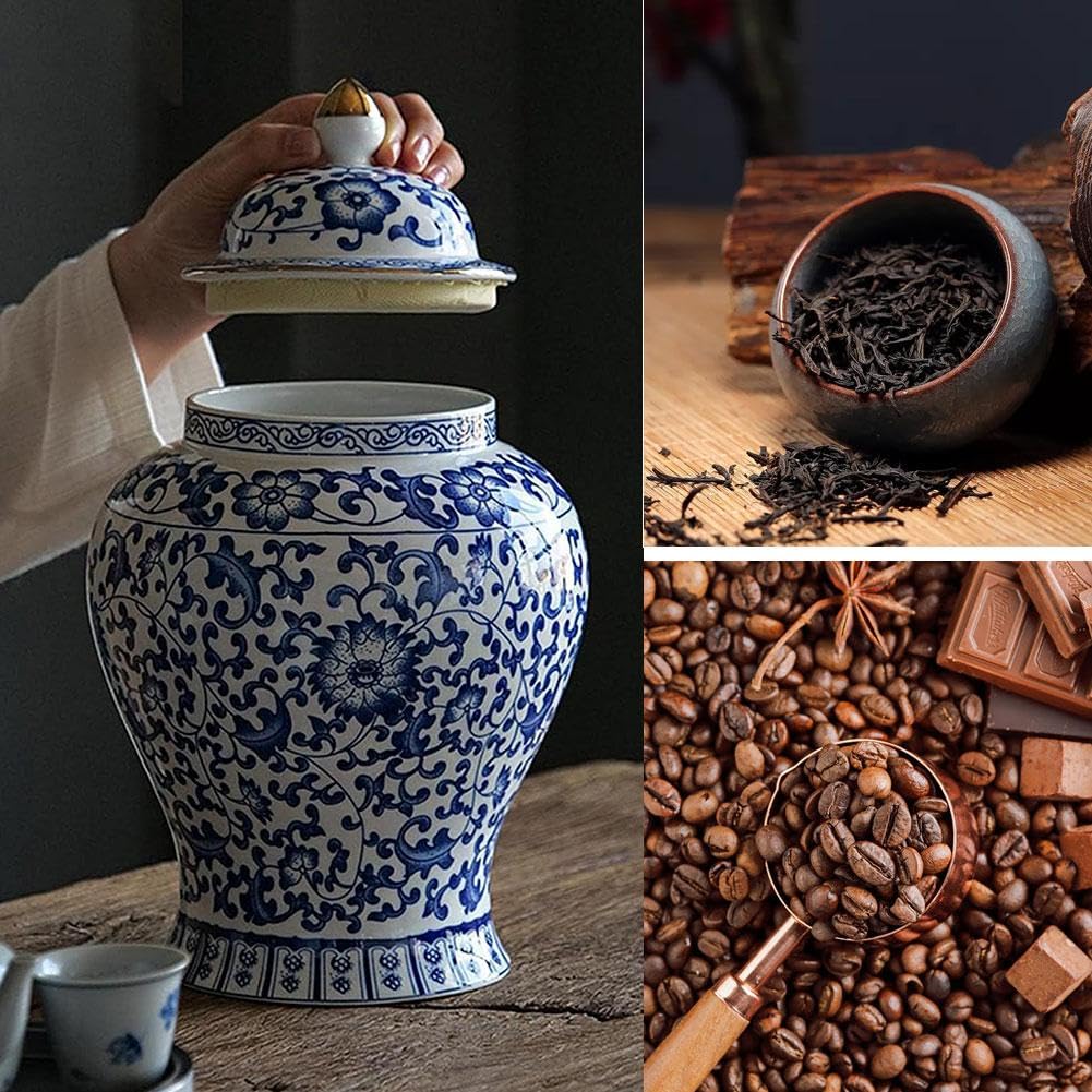 Ingwergläser Porzellan Tee Aufbewahrung Dekorative Keramikdose mit Deckel Chinoiserie Stil Dekor Blau Weiß Vase für Wohnzimmer Schlafzimmer