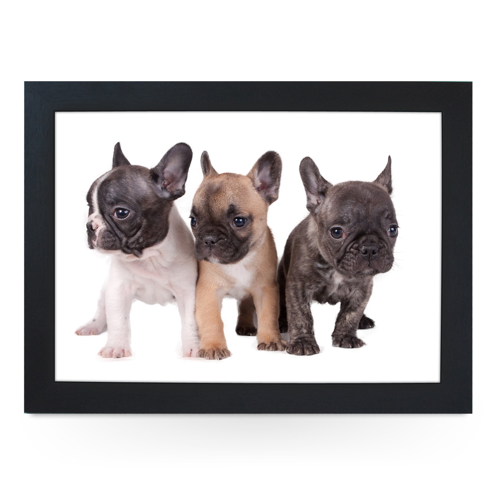 Portable Lap Desk Tray (Three French Bulldog Puppies) Handmade Wooden Frame, Beanbag Cushioned Bottom | Computers, Laptops, Meals, Food | L0079 Black