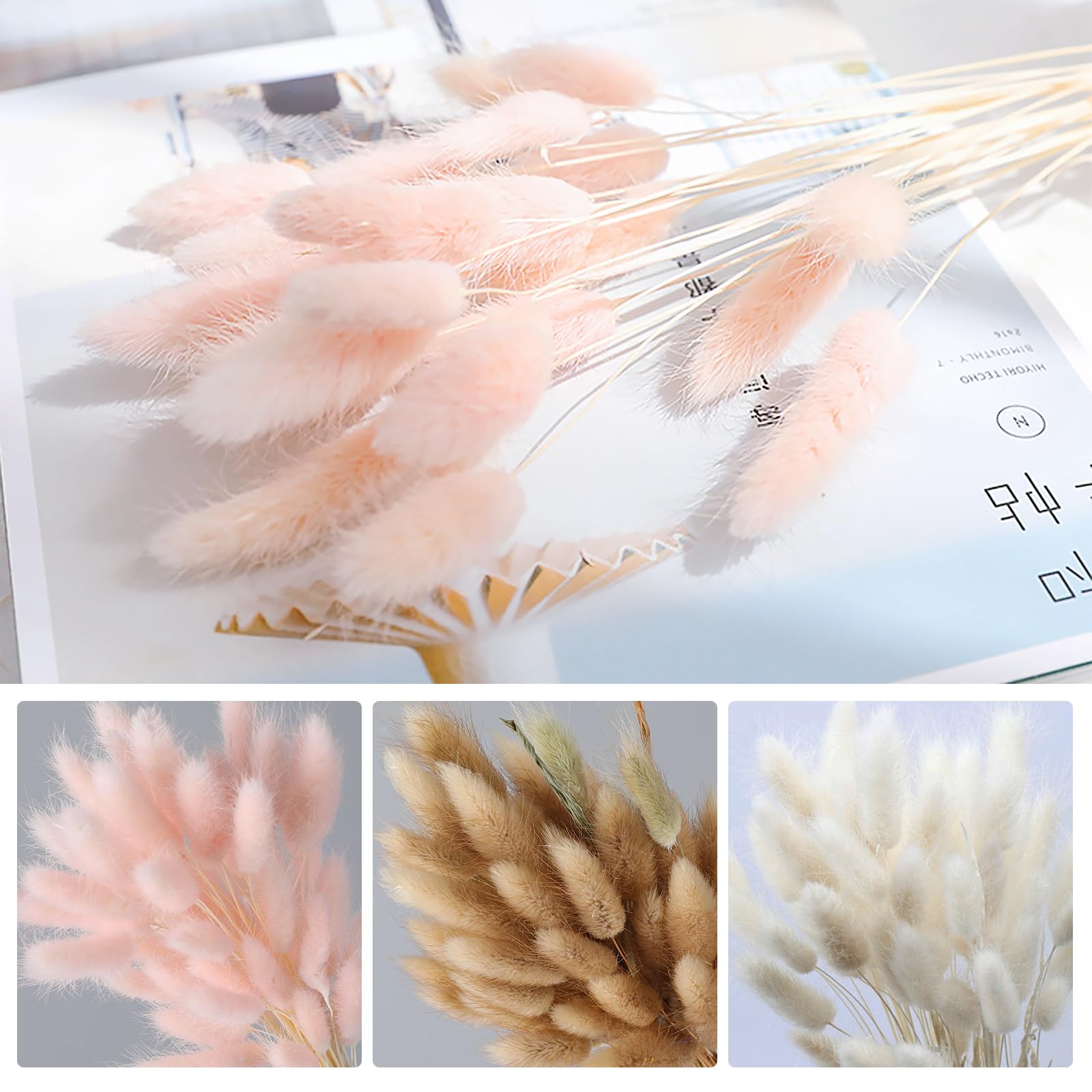 LXYANW 120 Pcs Pampa Séchées Naturelle Décoration, Herbe De