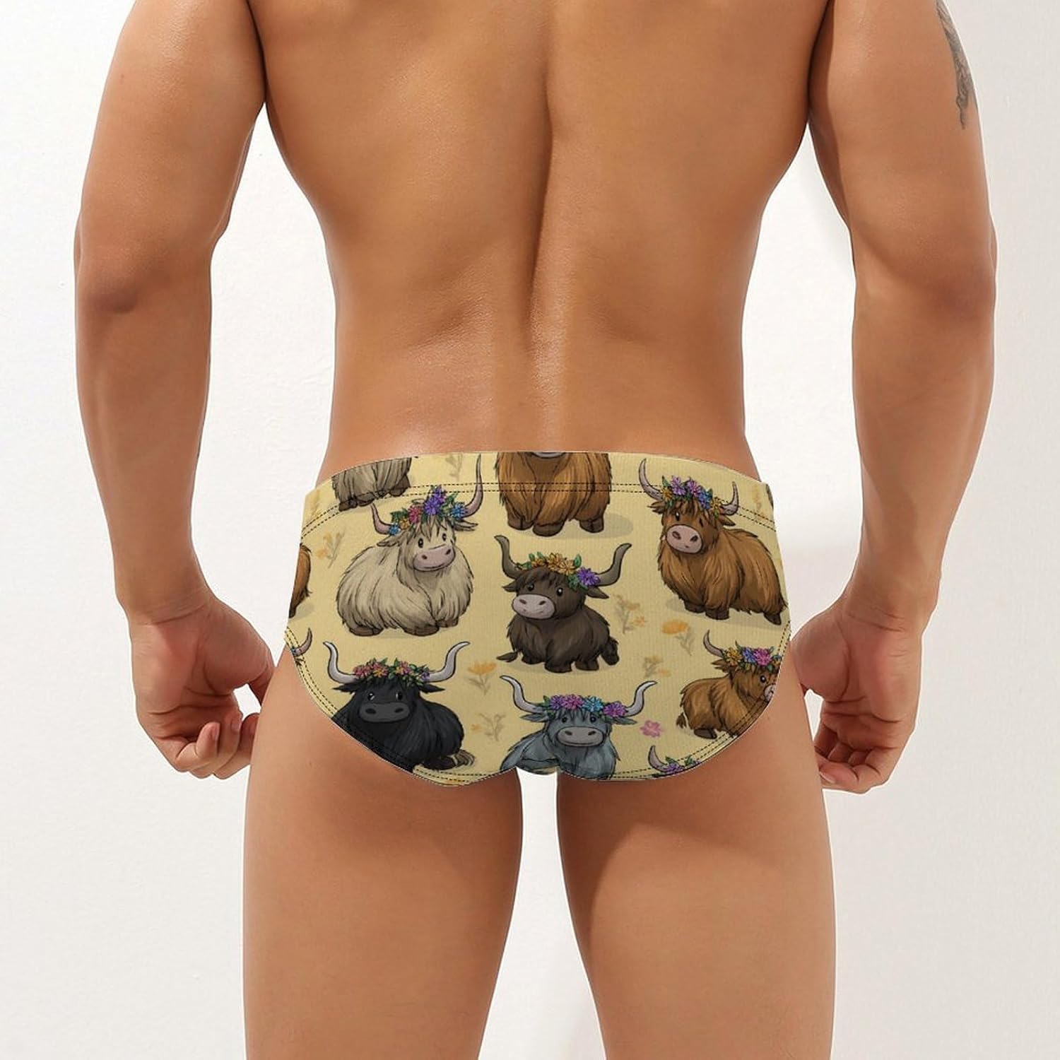 Highland Cows Men's Swimsuit Brief Sexy Bikini Briefs Retro Printed Swimwear Quick Dry Swimming Trunks 3X-Large