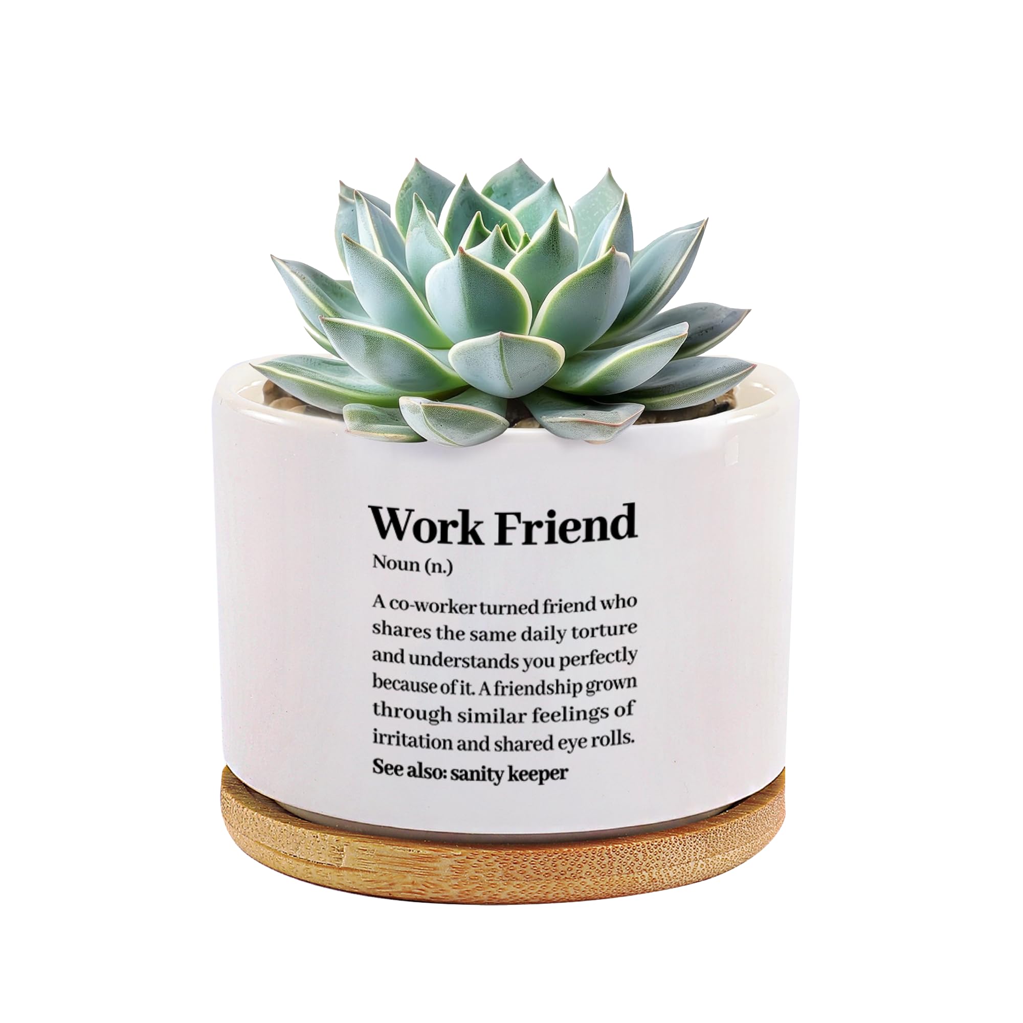 Pot de fleurs succulentes en céramique raffinée avec plateau en bambou