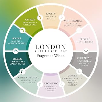 Gilchrist & Soames London Collection Shampoo Pure, Sulfate Free, Paraben Free, Cruelty Free Formula for All Hair Types, Gentle Clarifying & Moisturizing Wash with Crisp, Clean Scent, 15.5 oz.