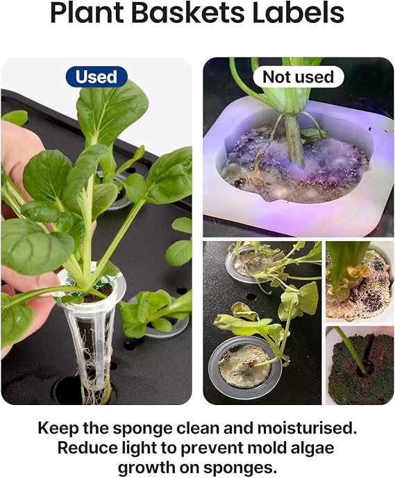 iDOO Growth Sponges 60 Pcs with 102Pcs Seed Pot Labels Sticker