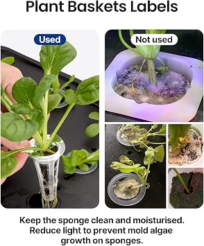iDOO Growth Sponges 60 Pcs with 102Pcs Seed Pot Labels Sticker