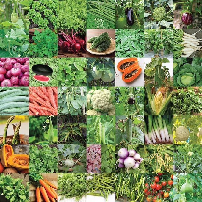 Image of Devender Farm Indian Vegetable Seeds Collection, 40 Varieties, 2255 Seeds, Container Garden Kit