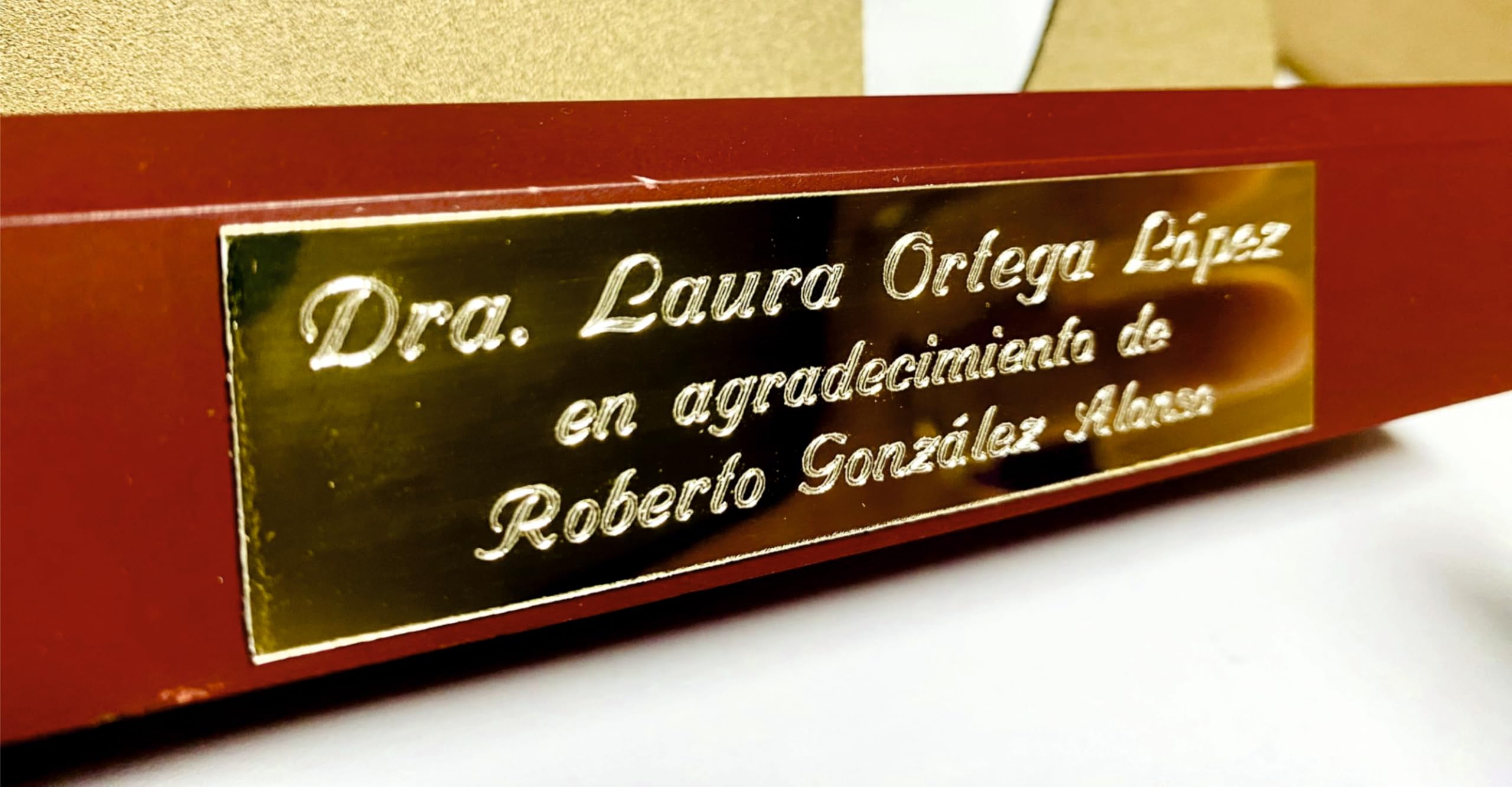 Regalo Médica Doctora para Agradecimiento, Figura Personalizada con dedicatoria de Acero Satinado