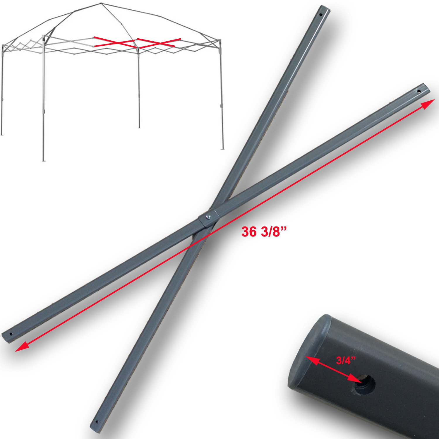 Coleman - こてつ $_12.JPG?set_id=880000500F