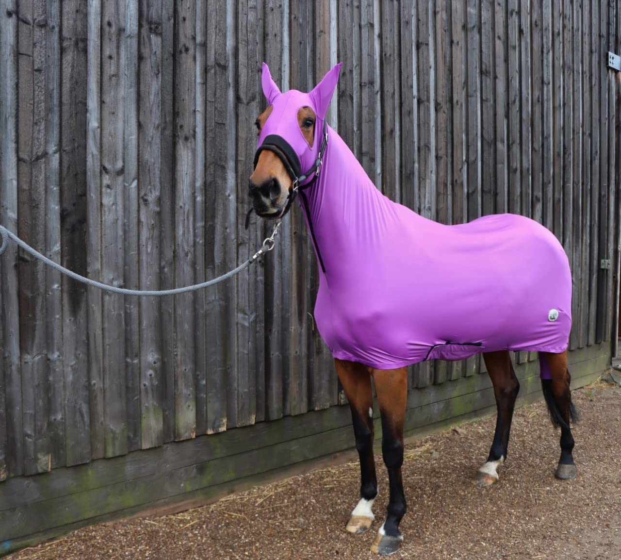 Ruggles Lycra Body Suit for Horse/Pony | Detachable Tail Sleeve | Stretch Under Rug | Ideal for helping to Keep Horse Clean and Plaits in Place (Extra Large - No Ears, Purple)