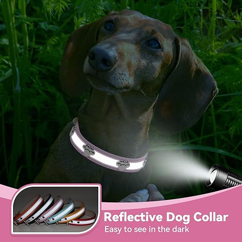 Miniatura 4 de PETCARE Collar reflectante para perro con lindo remache de pata tachonado, divertido collar ajustable de piel sintética suave para cachorros, perros