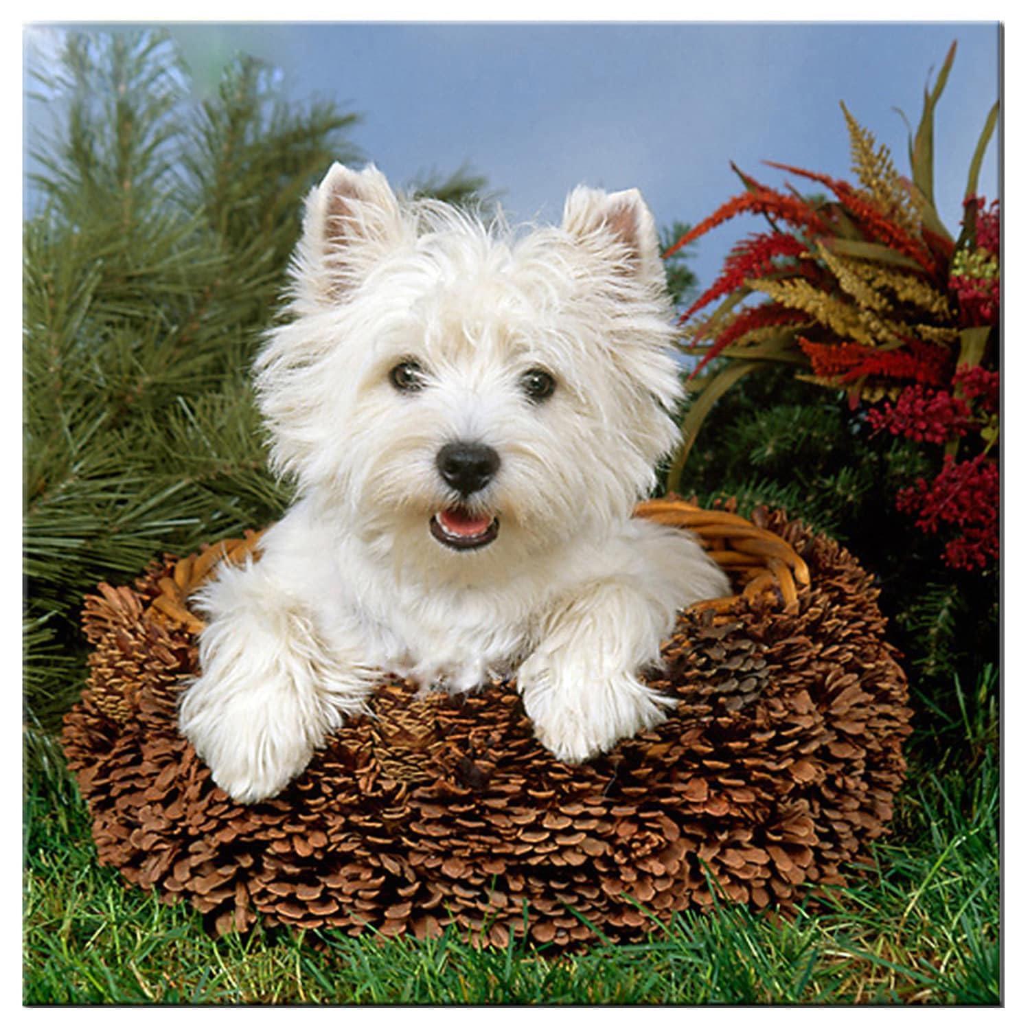 1000 Pieces Puzzles for Adults - Cute Dog Animal West Highlands White Terrier in a Basket Puzzle for Stress Relief and Leisure Home Decor Collectibles